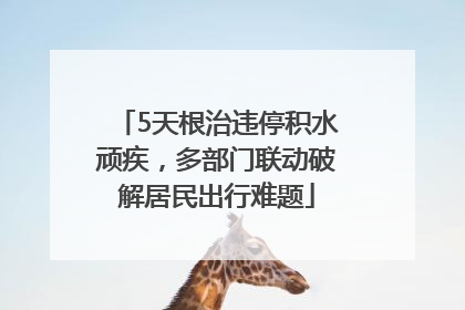 5天根治违停积水顽疾，多部门联动破解居民出行难题